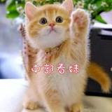 🌱中部正妹名單密@gg9875