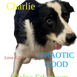 Charlie Meme $CHARLIE