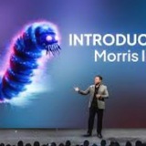 MORRIS PORTAL