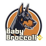 babybroccolin