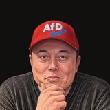 $AFD Alternative for Germany - Portal