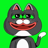 🐸 Pepecat Token 🐈 on Solana