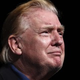 TRUMP'S HAIR CTO