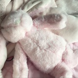 🫓____=3! ℘.etite : 𝒯—enny ribbon “귀여운” .x3♡