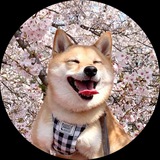 OG | HANA PORTAL