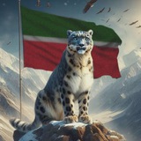 Спортивная сплетница