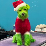 $RIZZO The Grinch Dog