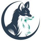 🦊 BenJaro | Mit den besten EMpfehlungen (offiziell)