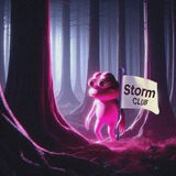 Storm Club