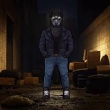 SHIBA INU BLACK DOG ARMY