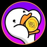 QUACKSY | PORTAL