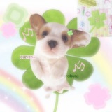 blithe buns 0___o!?