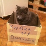 Паблик без цели, смысла и названия