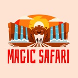 Magic Safari