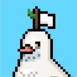 DMZ Announce