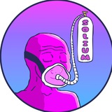 Solium | Portal