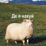 де я нахуй