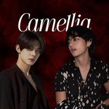 Camellia info