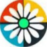 TORANJ ترنج