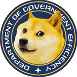 Department Of Government Efficiency