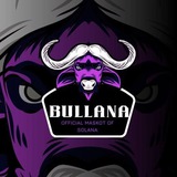 BULLANA Portal