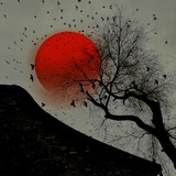 心动日记