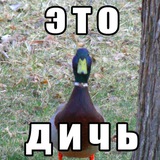 Дичь 18+