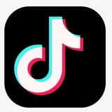 抖音项目