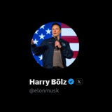 $BOLZ CTO PORTAL