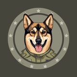 $CAIRO The Alpha Dog