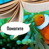 От Даши из лабы