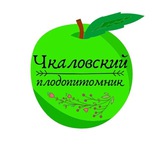 Чкаловский плодопитомник. Саженцы которые растут