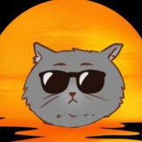Chill Kat