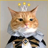 NianNian COMMUNITY 👑 🐈🔶