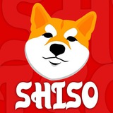 Akaishiso ~ CTO | The Shiba inu origin