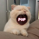 POPMEW |CTO|