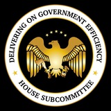 DOGE Subcommittee