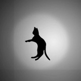 $OPTICAT | Optical Illusion Cat | SOL