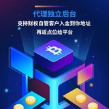 ST5/TK/外汇招商+搭建+交易所