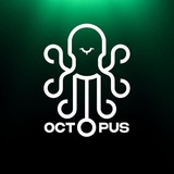 Octopus Labs