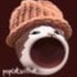 popcatwifhat