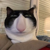 DIPDAB PLAYLIST 🥒