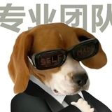 汪汪队缺大德（博一博单车变摩托）