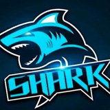 🦈项目频道