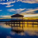 Community Portal