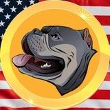BNBULLY | BNB CHAIN | PORTAL