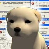 Wuf Cto