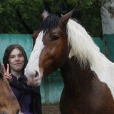 Пончик и другие лошадки