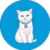 CATTO