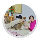 KABOSUMAMA $MAMA CTO